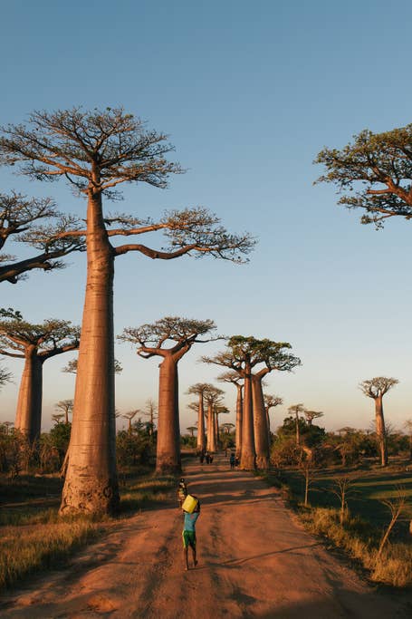 Madagascar